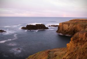 Mendocino Coast. CA