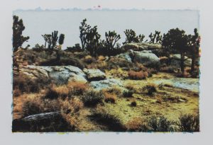 Mojave #10
