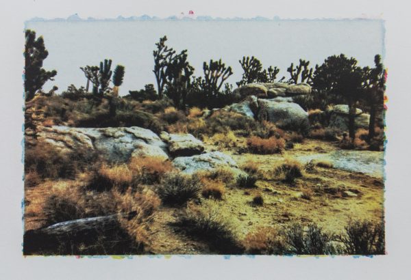 Mojave #10