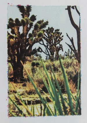 Mojave #3