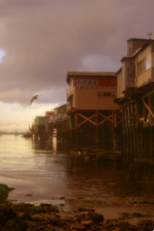 Monterey Pier
