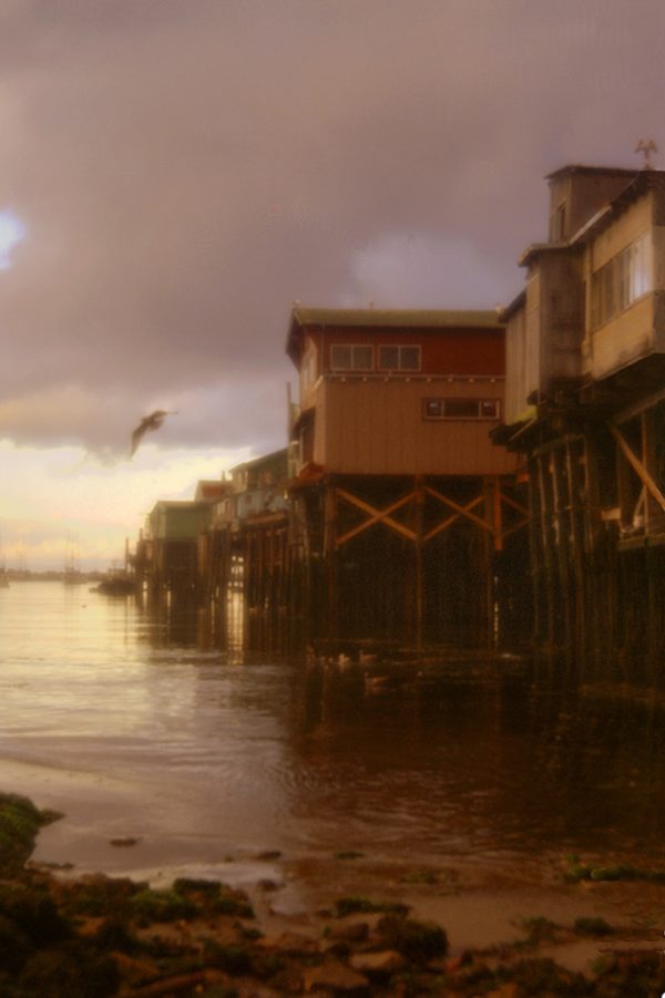 Monterey Pier