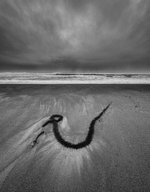 AMPHITRITE’S NECKLACE