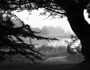 North Lagoon, Pajaro Dunes