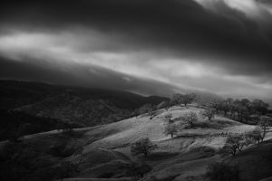 IN THE NORTHERN COAST RANGE (#1)