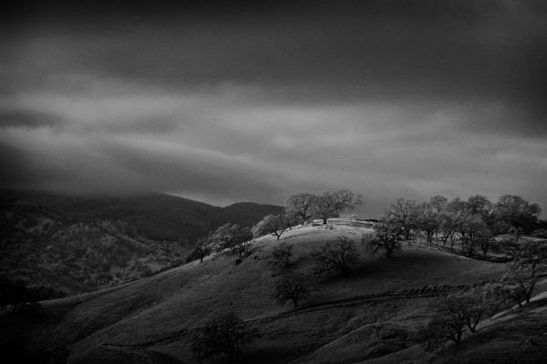 IN THE NORTHERN COAST RANGE (#2)