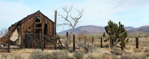 Old Cabin, Mojave National Preserve