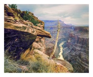 Overlook