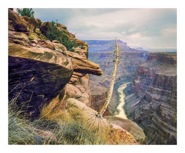 Overlook
