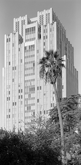 Park Tower with Palm Tree