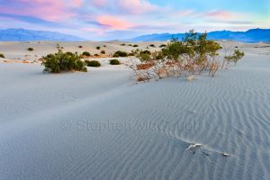 Pastel Morning Light, Mesquite Flat Sand Dunes, Death Valley National Park, California