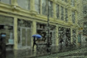 Rainy Day