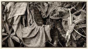 Remnants, Bhutan