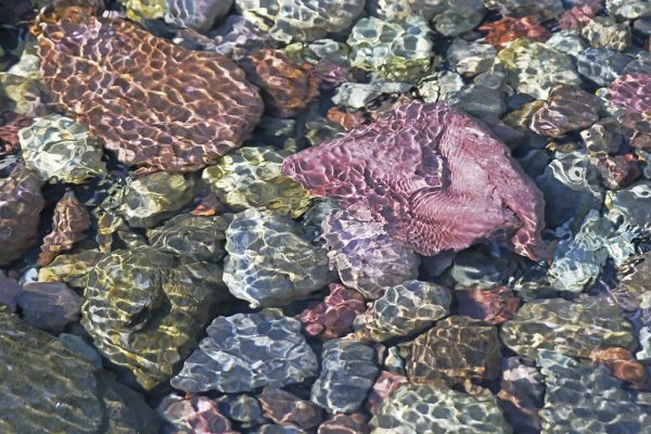Ripples on Rocks