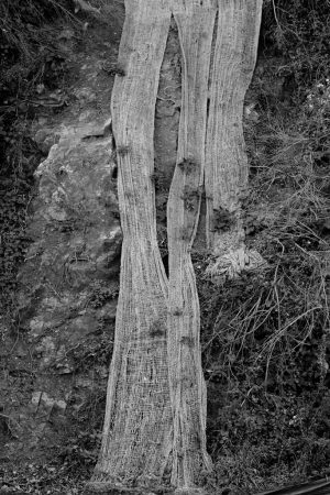 Rock Net