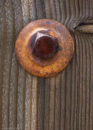 Rust #110