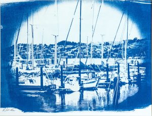 Sailboat Marina, Sausalito