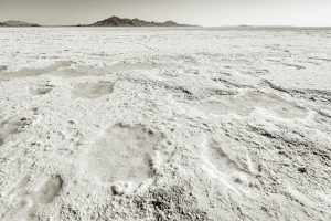 Salt Flats, Utah