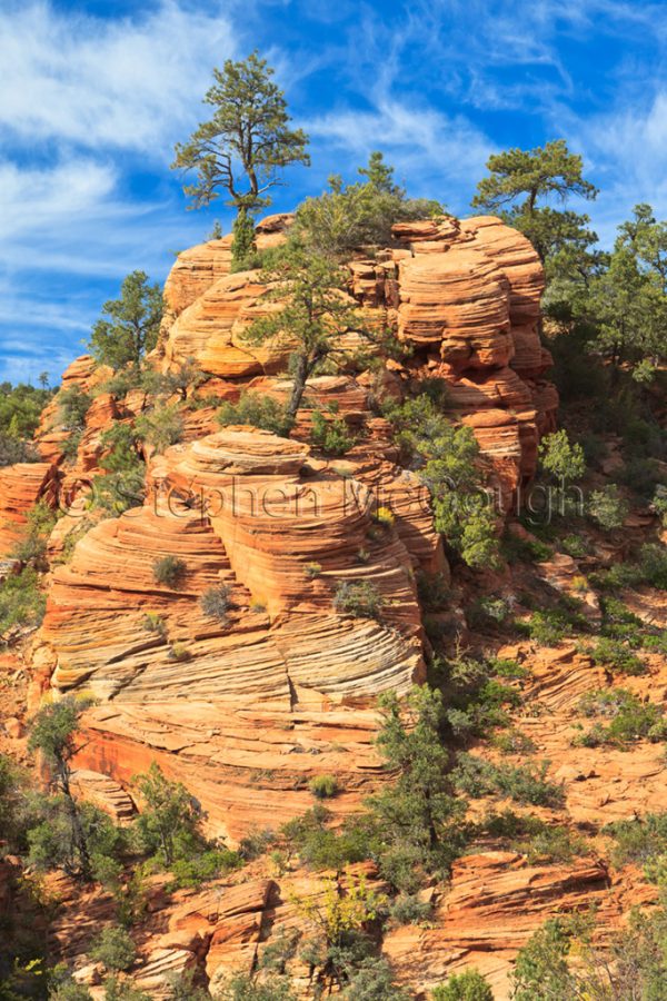Sandstone Tower, Zion National Park, Utah