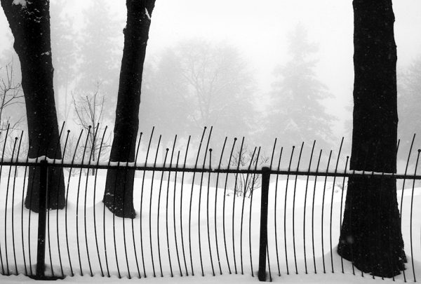 Snow Scape