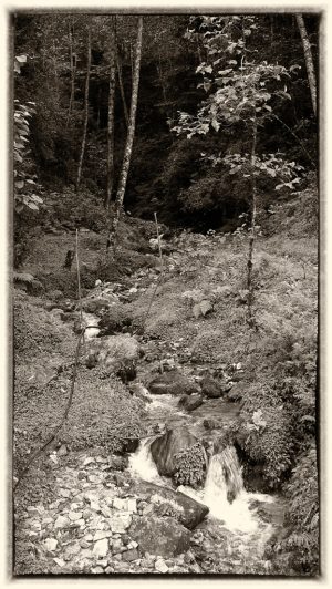 Stream, Bhutan
