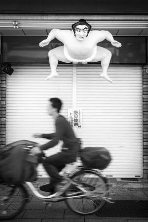 Sumo Ninja