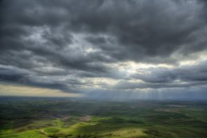 Sun Bathed Palouse