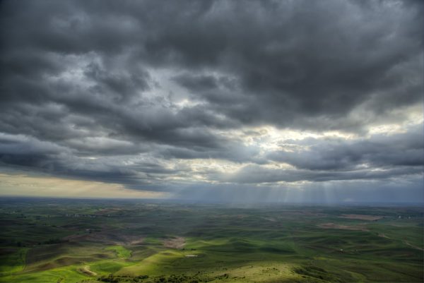 Sun Bathed Palouse
