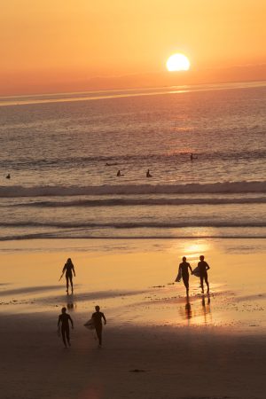 Sunset Surfers
