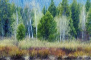 Teton Pastel