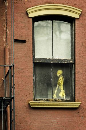 The Things You See in NYC