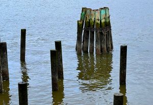 Waterfront Pilings, Oregon Coast