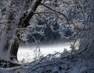 Winter’s Dream