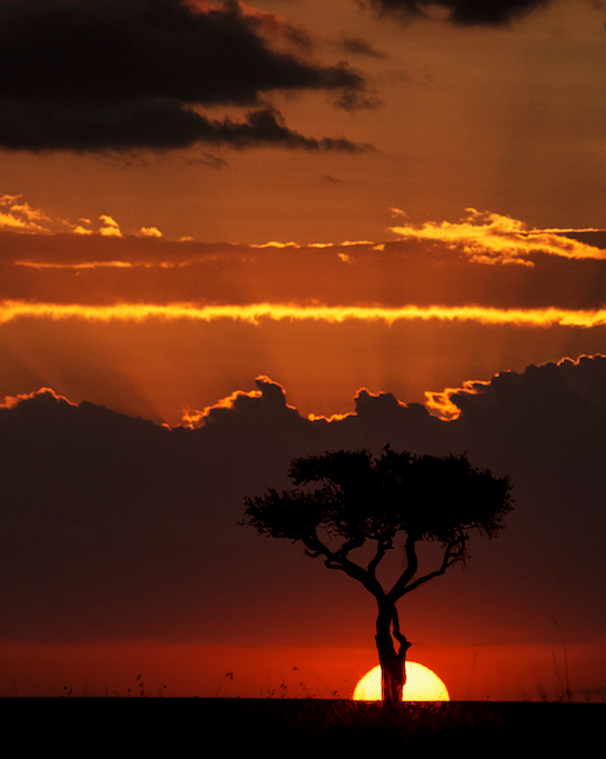 Mara Sunset