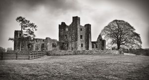 Bective Abbey, Ireland