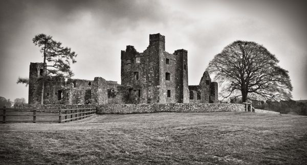 Bective Abbey, Ireland
