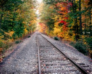 Tracks through New Hampshire