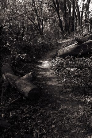 Finding My Way