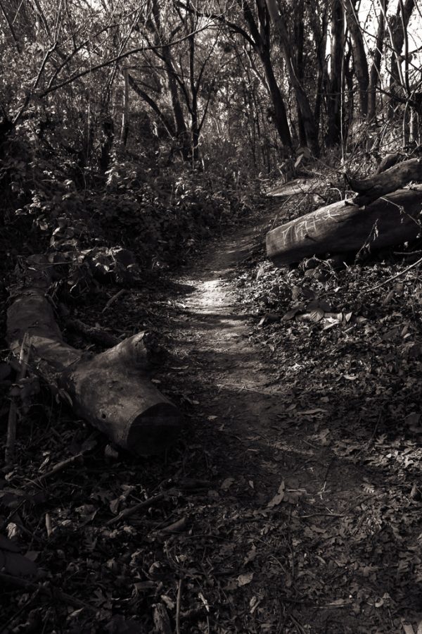 Finding My Way