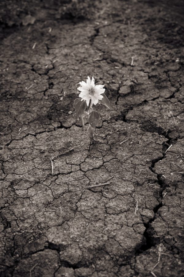 Hope
