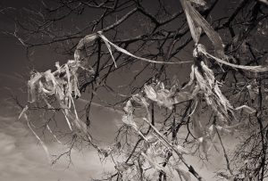 Tattered Remains