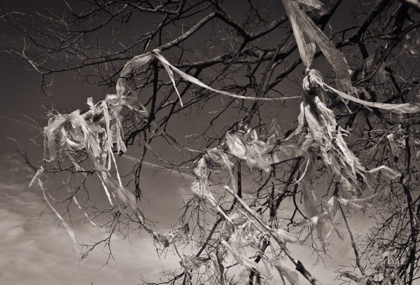Tattered Remains