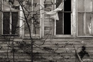 Taylor Farm Schoolhouse #3