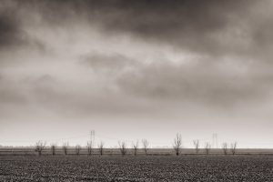 Winter Fallow