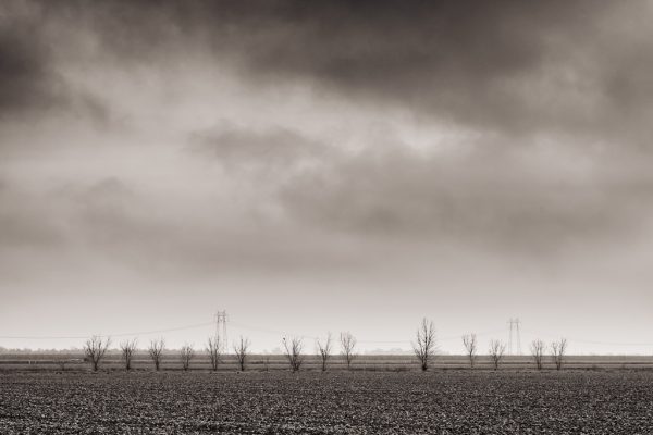 Winter Fallow