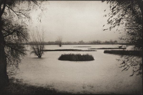 Gray's Island