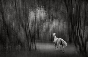 On the Edge of Enchantment