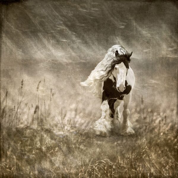 On the Run #5