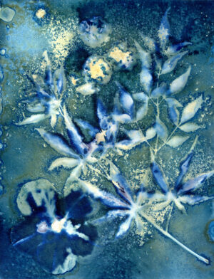 Davida Feder - Untitled
