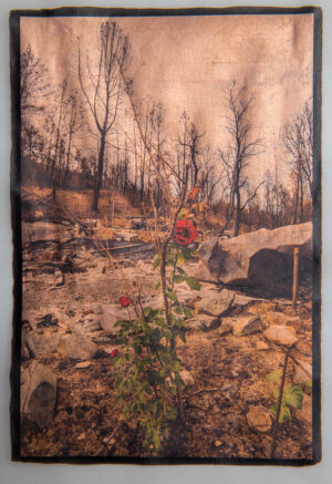 Debra Small - Resilience -The Carr Fire